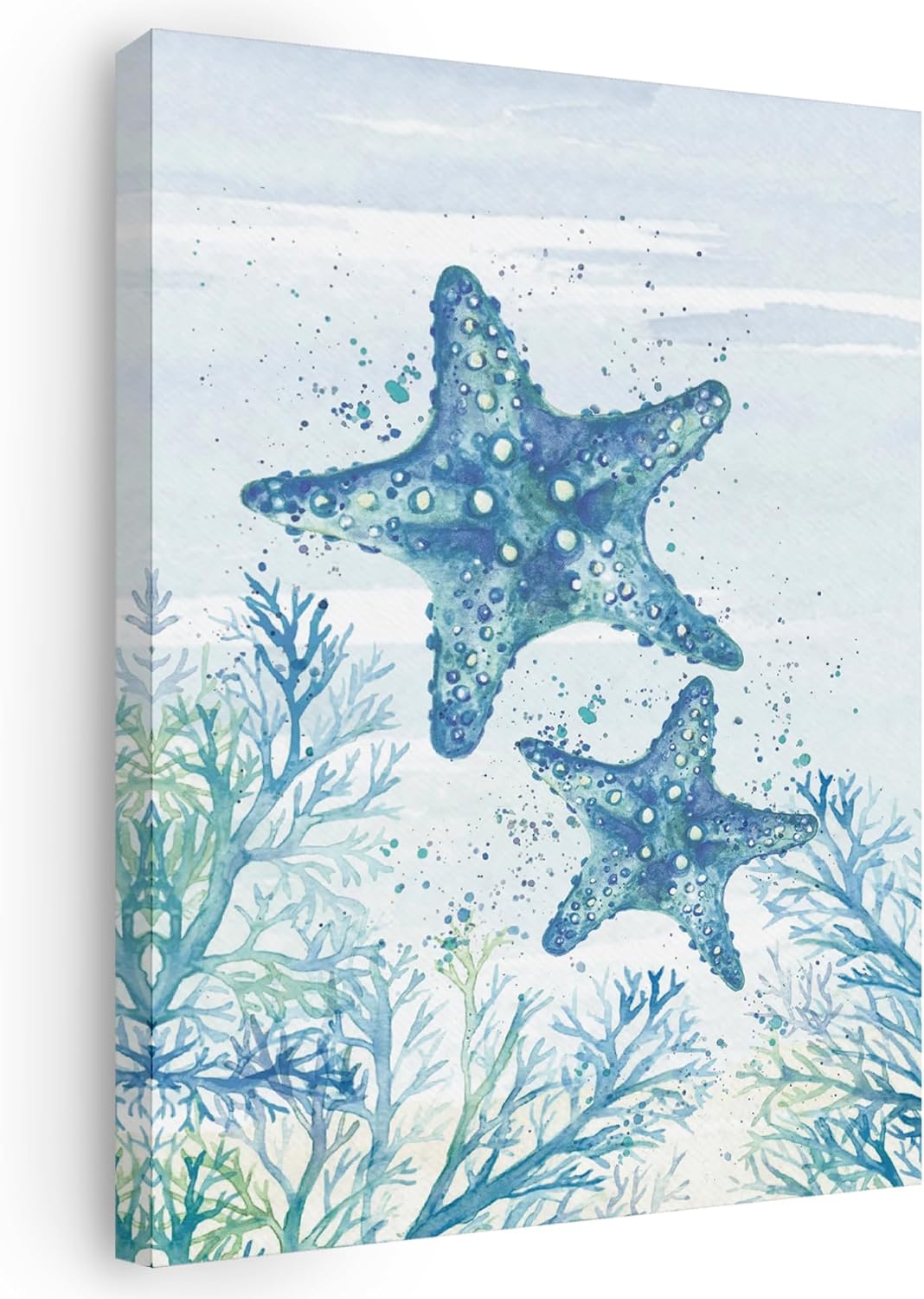 貝殻のアクセサリーケース | SUISUI 貝細工のアクセサリーケース